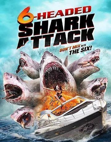 鲨鱼运营爆料怎么做视频,揭秘视频制作背后的技巧与策略 第1张 鲨鱼运营爆料怎么做视频,揭秘视频制作背后的技巧与策略 第1张