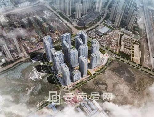 昆明海豚湾爆料视频大全,揭秘幕后真相与精彩瞬间 第2张 昆明海豚湾爆料视频大全,揭秘幕后真相与精彩瞬间 第2张