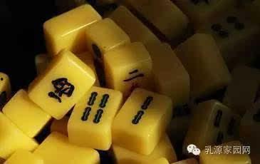 麻将配料爆料方法图解视频,图解视频深度解析 第1张 麻将配料爆料方法图解视频,图解视频深度解析 第1张