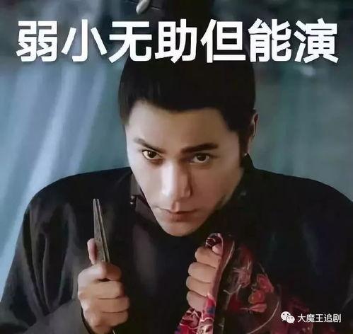 陈坤倪妮天涯真实爆料视频,娱乐圈背后的真相与争议 第1张 陈坤倪妮天涯真实爆料视频,娱乐圈背后的真相与争议 第1张