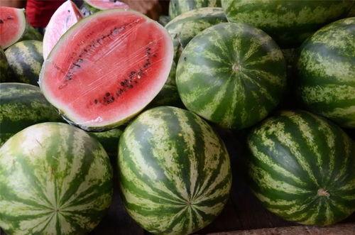 康县网红怎么吃瓜,康县网红教你如何品尝地道瓜果美味 第3张 康县网红怎么吃瓜,康县网红教你如何品尝地道瓜果美味 第3张